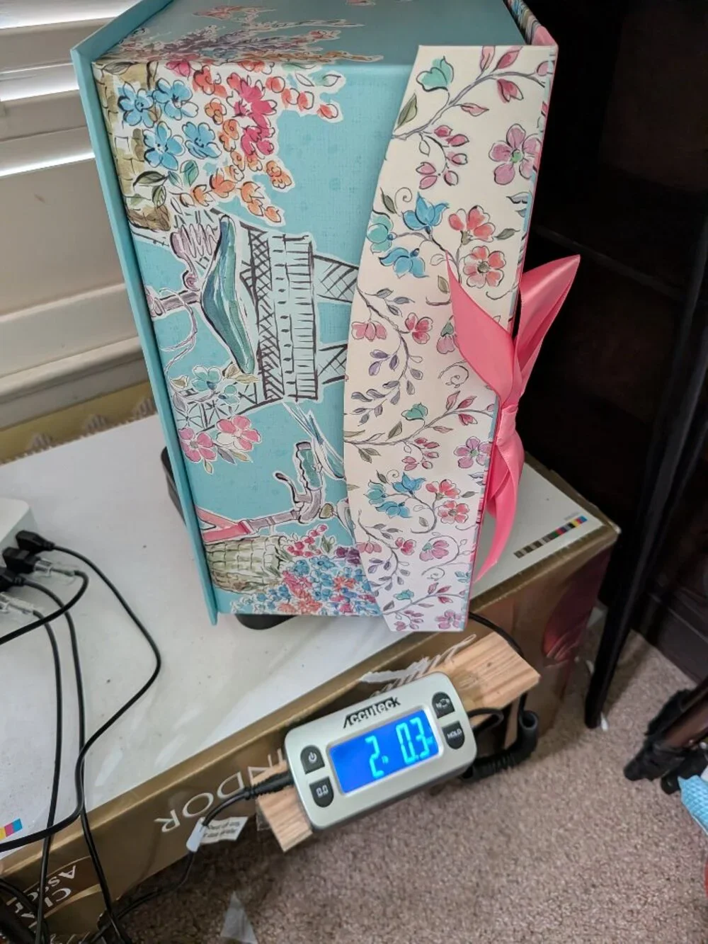 Paris France Storage Box Eiffel Tower Pink Ribbon Spring Floral Blue